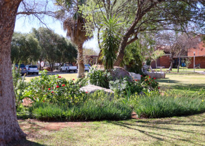 Acacia Park
